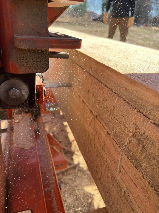 Pine and Poplar Lumber