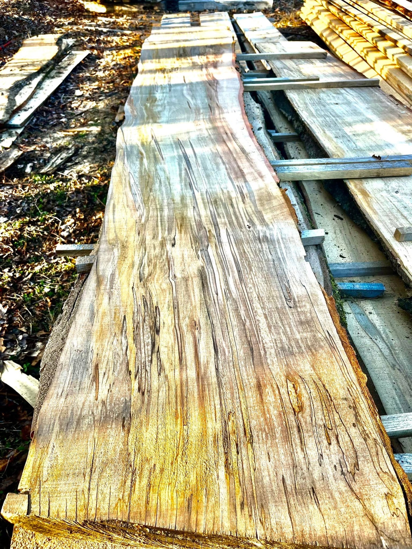 Ambrosia Maple Slabs